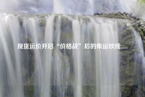 现货运价开启“价格战”后的集运欧线......