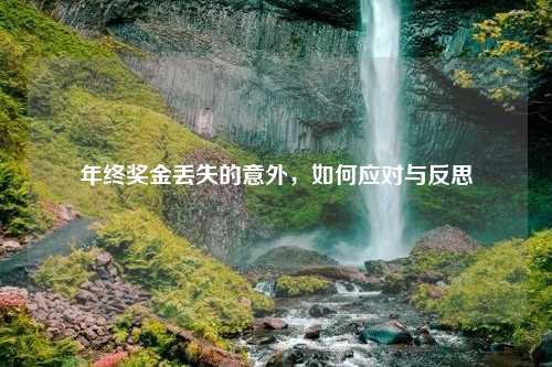 年终奖金丢失的意外，如何应对与反思