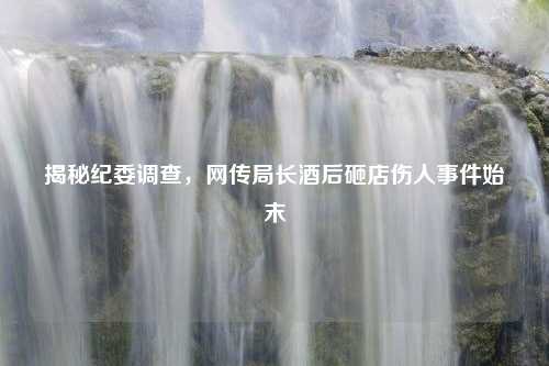 揭秘纪委调查，网传局长酒后砸店伤人事件始末
