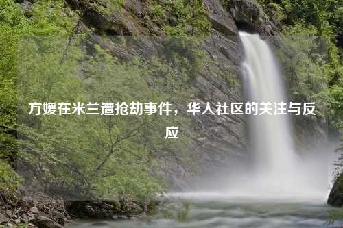 方媛在米兰遭抢劫事件，华人社区的关注与反应