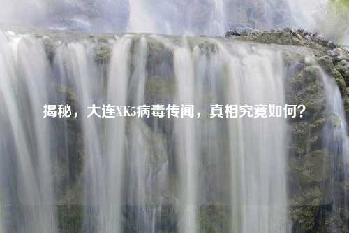 揭秘，大连XK5病毒传闻，真相究竟如何？