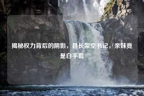 揭秘权力背后的阴影，县长架空书记，亲妹竟是白手套