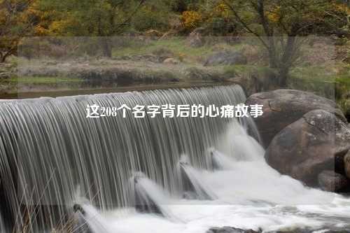 这208个名字背后的心痛故事