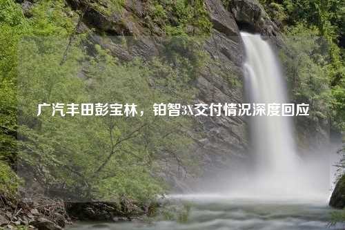 广汽丰田彭宝林,铂智3X交付情况深度回应 广汽丰田彭宝林,铂智3X交付情况深度回应?