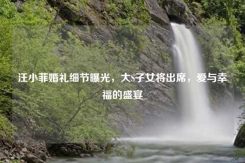 汪小菲婚礼细节曝光，大S子女将出席，爱与幸福的盛宴