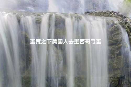 蛋荒之下美国人去墨西哥寻蛋 蛋荒之下美国人去墨西哥寻蛋?
