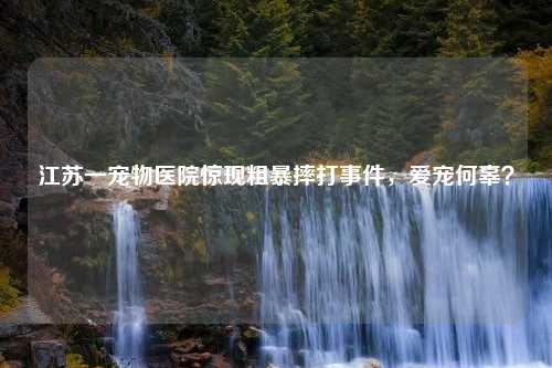 江苏一宠物医院惊现粗暴摔打事件,爱宠何辜? 江苏一宠物医院惊现粗暴摔打事件,爱宠何辜?