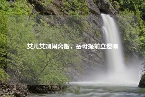 女儿女婿闹离婚，岳母提前立遗嘱