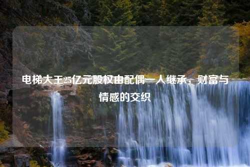 电梯大王25亿元股权由配偶一人继承，财富与情感的交织