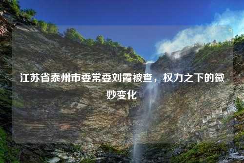 江苏省泰州市委常委刘霞被查，权力之下的微妙变化