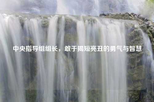 中央指导组组长,敢于揭短亮丑的勇气与智慧 中央指导组组长,敢于揭短亮丑的勇气与智慧